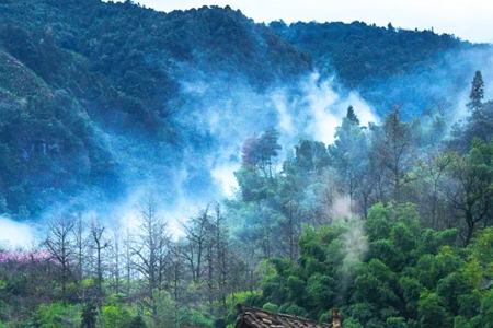 ��ƹ�˾���ִ�ȫ