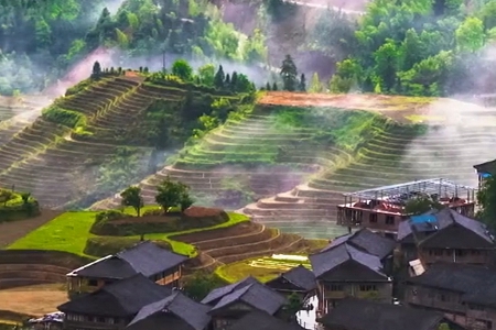 ��˾����ȡ�����