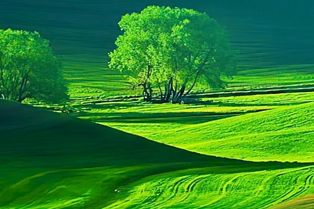 װ�޹�˾������ȫ