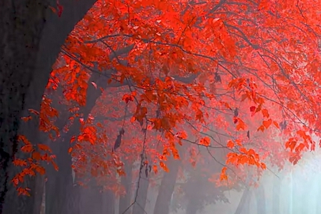 ��˾���ֵ�����