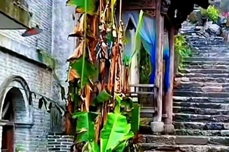 科技公司叫什么名字好