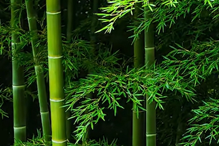 婚介公司名字大全洋气