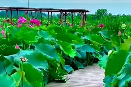 ��ó�׹�˾�����ִ�ȫ