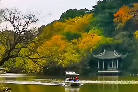 租车公司起个名字大全