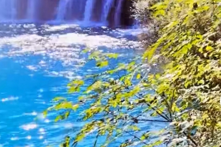 箱包公司名字大全