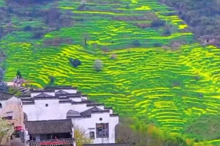 公司取名湖南