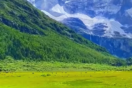 ��˾������ȫ���־���